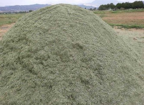 تصویر 3 از خرید و فروش یونجه غذای گاو با شرایط فوق العاده